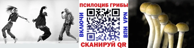 Псилоцибиновые грибы MAGIC MUSHROOMS  Купить где  Богородицк 